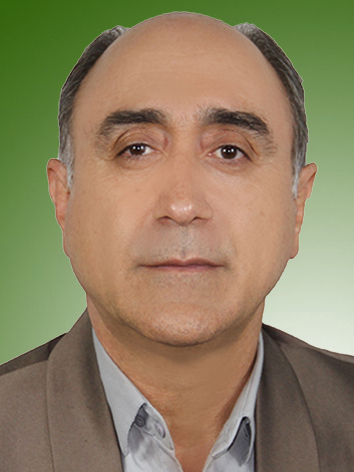 علی محسنی