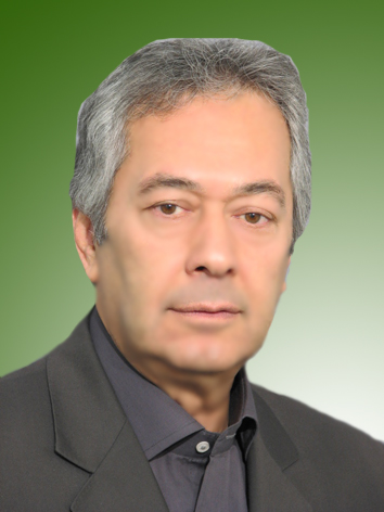 سیدحسین سیدمروستی