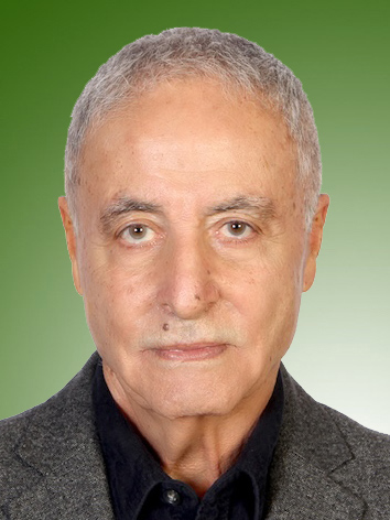 مراد حسن پور