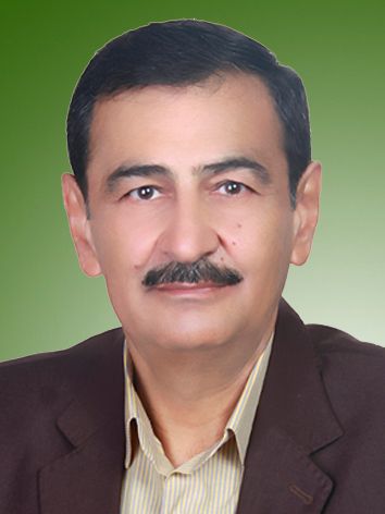 مجید خیری طرقبه