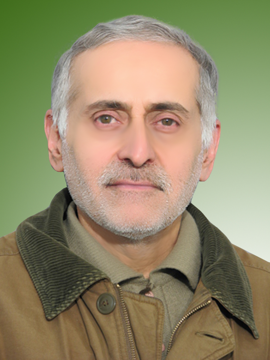 علیرضا فمی