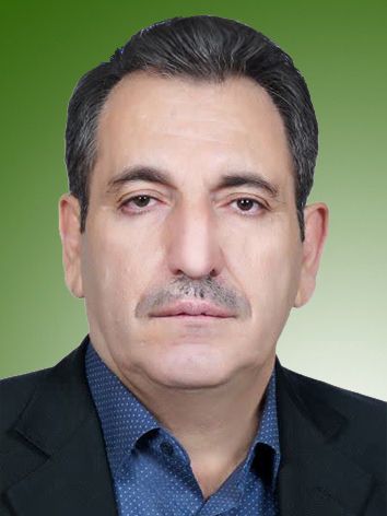 محسن میرزائی گودرزی