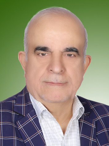 محمد حامدی نیا