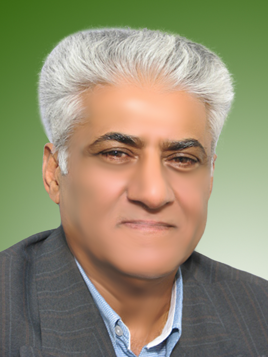 محمود زرگرالهی