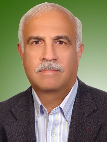 حسن شادبه
