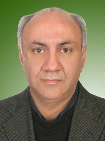 امیر حامدسیدحسینی