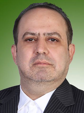 مجتبی گل پرور