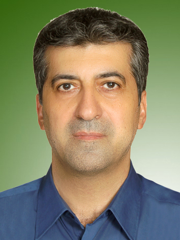 مسعود گرجی