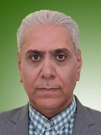 حمید رفیعی