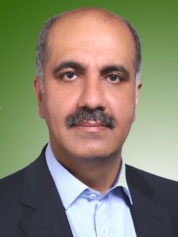 محمد حسین غریب