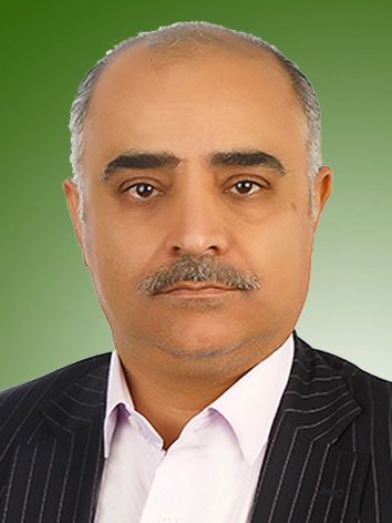 مسعود ولایتی