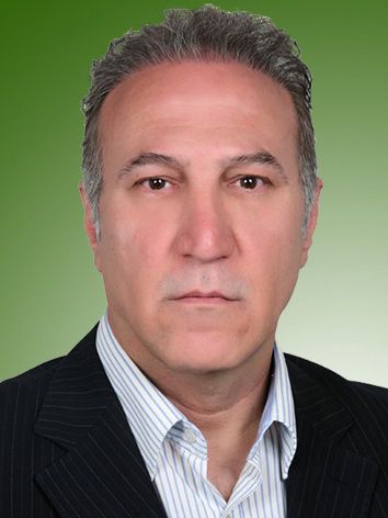 محمود ملکی پور غربی