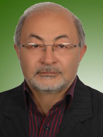 مهدی اینانلو