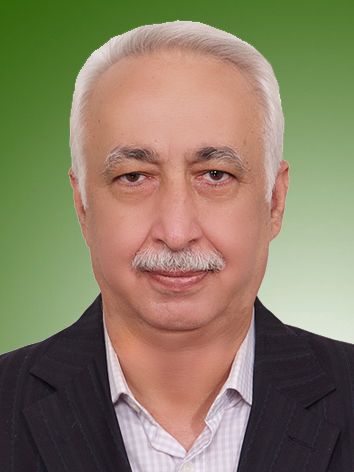 پیمان سلیمانی