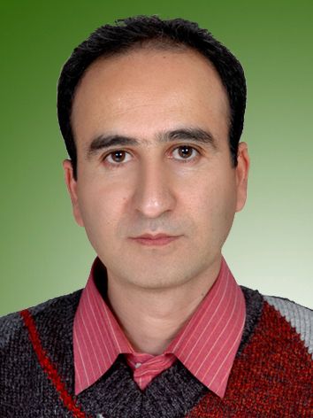 محمود پارسا