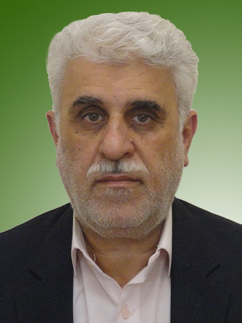 محمدرضا منصوری پور