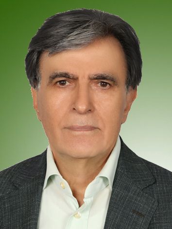 علی خلیلی سادات لو