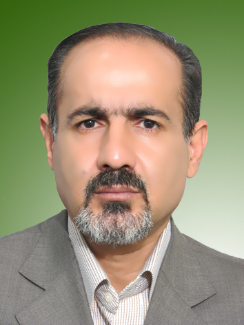 حمید شیخ حسنی