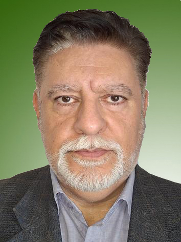 فرزین جمالی فروز