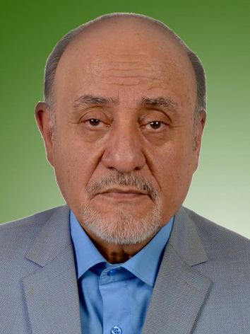 مجتبی عباسی