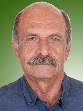 محمد جواد دادخواه
